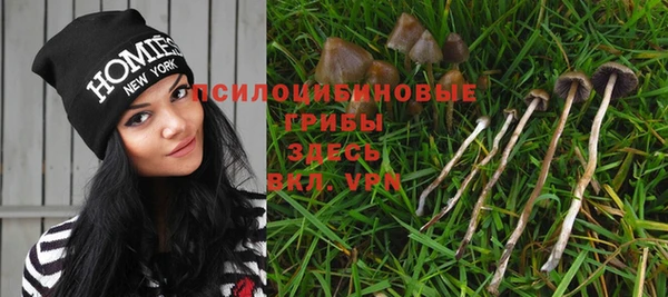 амф Абаза