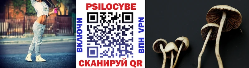 где найти наркотики Хадыженск Псилоцибиновые грибы GOLDEN TEACHER
